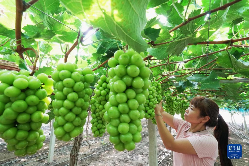 大型网投平台